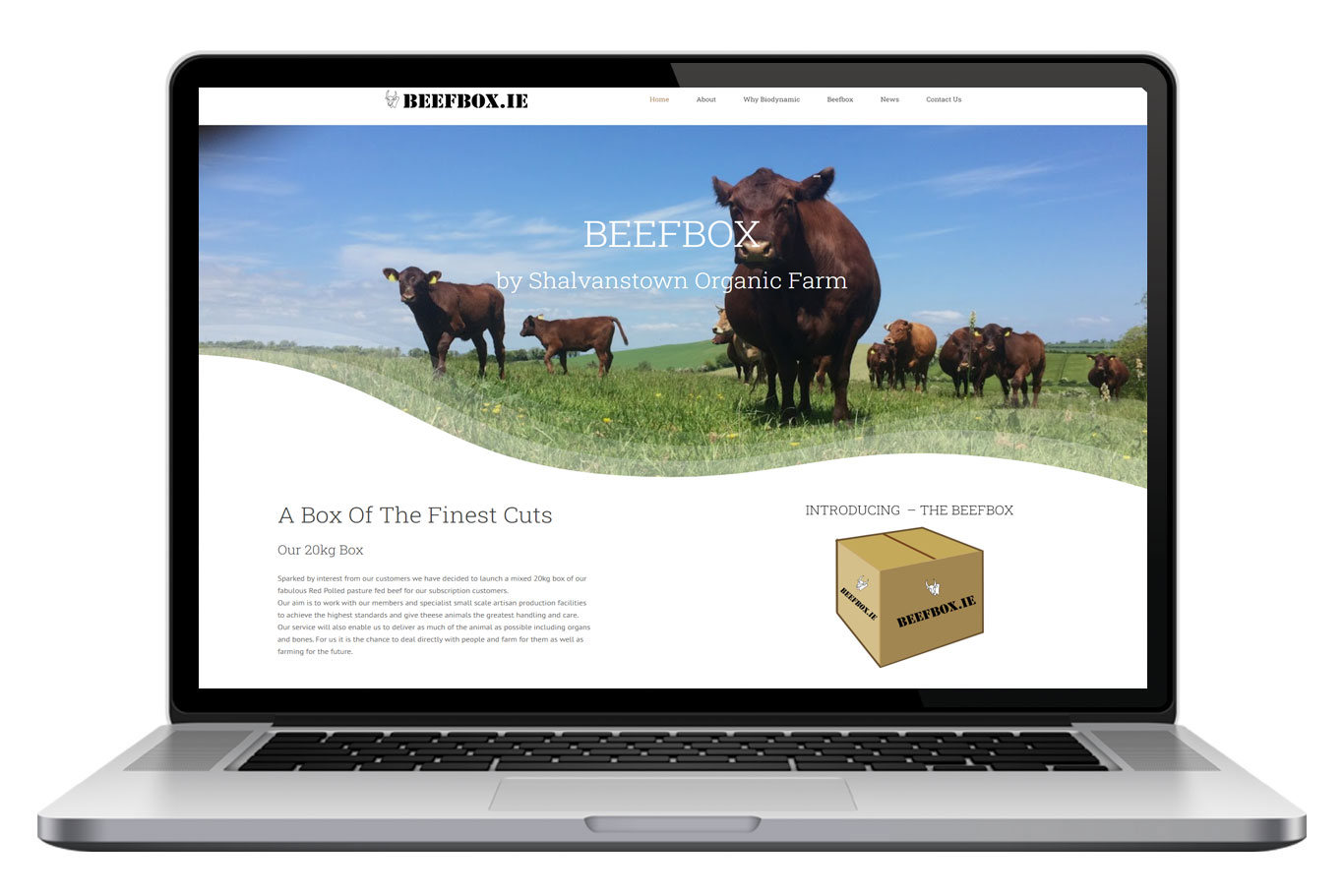 Beefbox Website